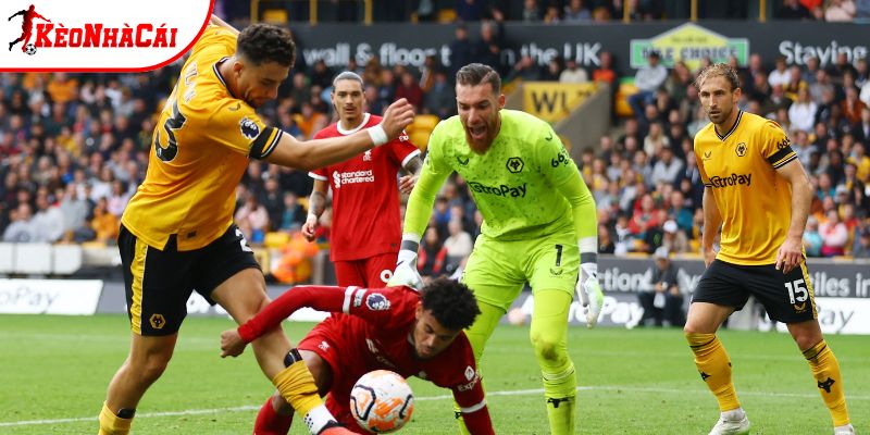 Wolves vs Liverpool đang nằm ở 2 đầu BXH